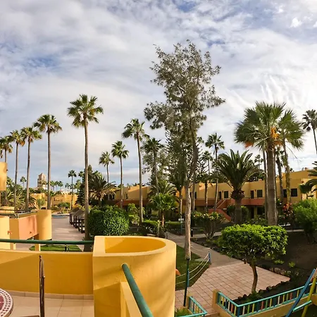 Drago 1 Atlantic Garden