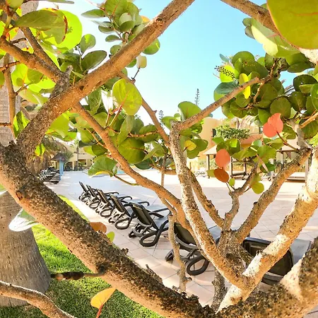 Apartment Drago 1 Atlantic Garden Corralejo