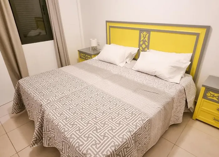 Drago 1 Atlantic Garden * コラレホ