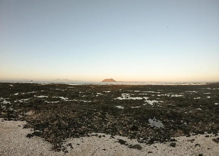 Drago 1 Atlantic Garden Corralejo