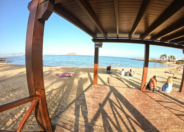 Drago 1 Atlantic Garden コラレホ