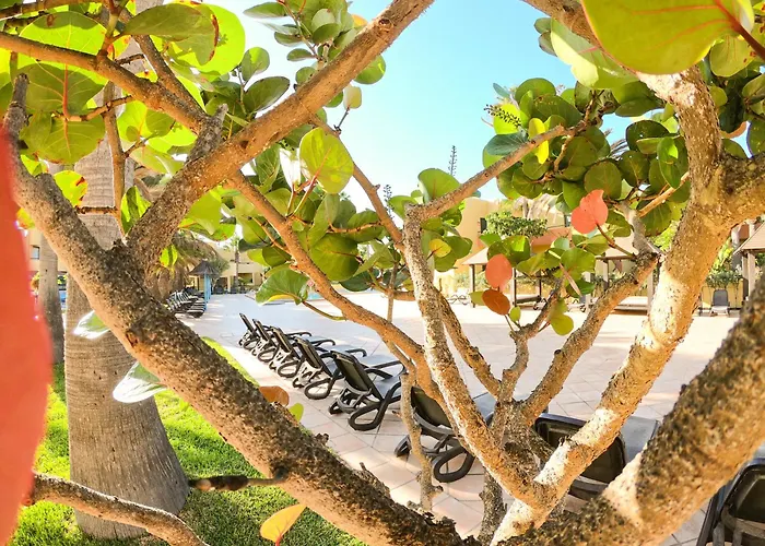 Appartamento Drago 1 Atlantic Garden Corralejo