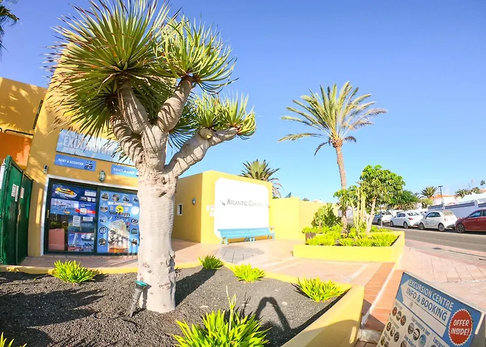 Drago 1 Atlantic Garden Corralejo