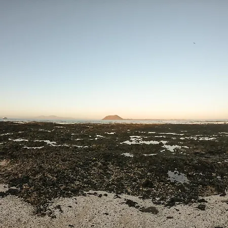 Drago 1 Atlantic Garden Corralejo